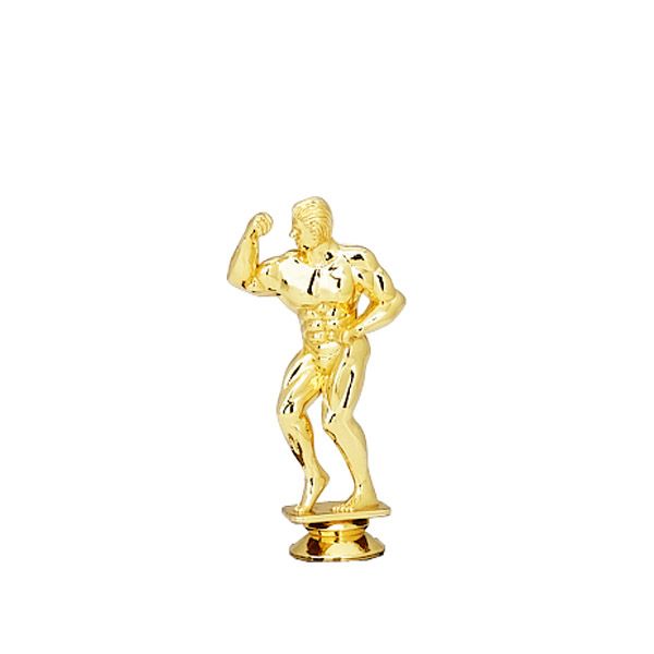 Ideelt dal årsag Gold Adonis Male Trophy Figures, Trophies | Dinn Trophy