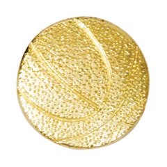 Basketball Recognition Pin 
