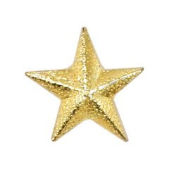 Star Recognition Pin