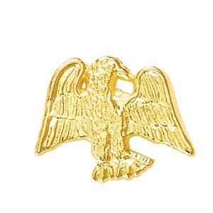 Eagle Recognition Pin