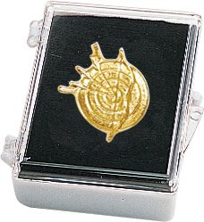 Archery Recognition Pin with Box